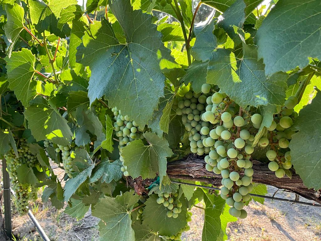 4778 River Road, Buhl, ID 83316 photo 35