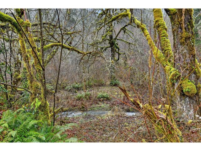 24511 Ne W H GARNER Rd, Yacolt, WA 98675