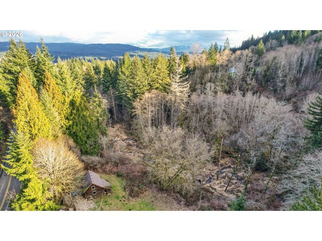 24511 Ne W H GARNER Rd, Yacolt, WA 98675