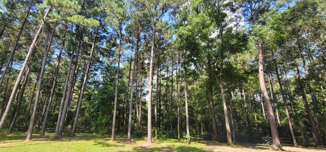 797 Lonestar Road, Huntsville, TX 77340