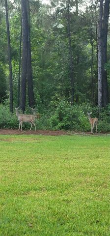 797 Lonestar Road, Huntsville, TX 77340