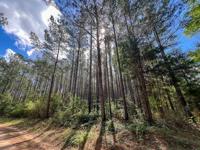 0 Cr 4525, Warren, TX 77664