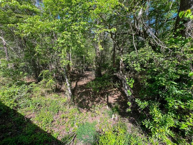 0 Cr 4525, Warren, TX 77664