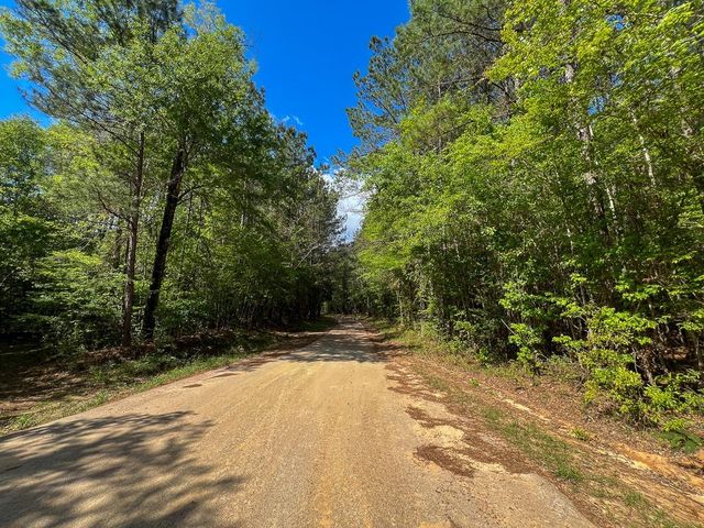 0 Cr 4525, Warren, TX 77664