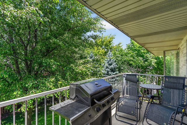 1011 Ashley Court S 2D, Lockport, IL 60441