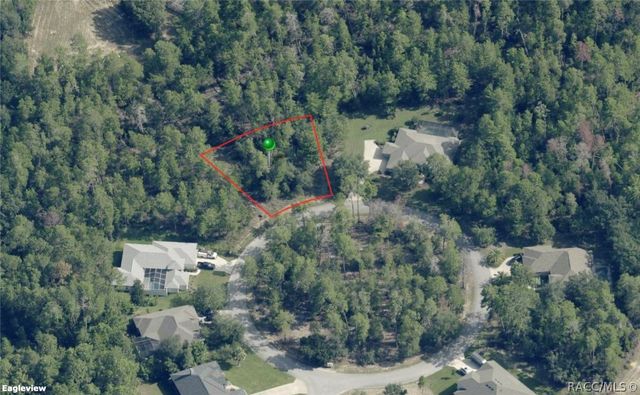 13 Dracaena Court, Homosassa, FL 34446