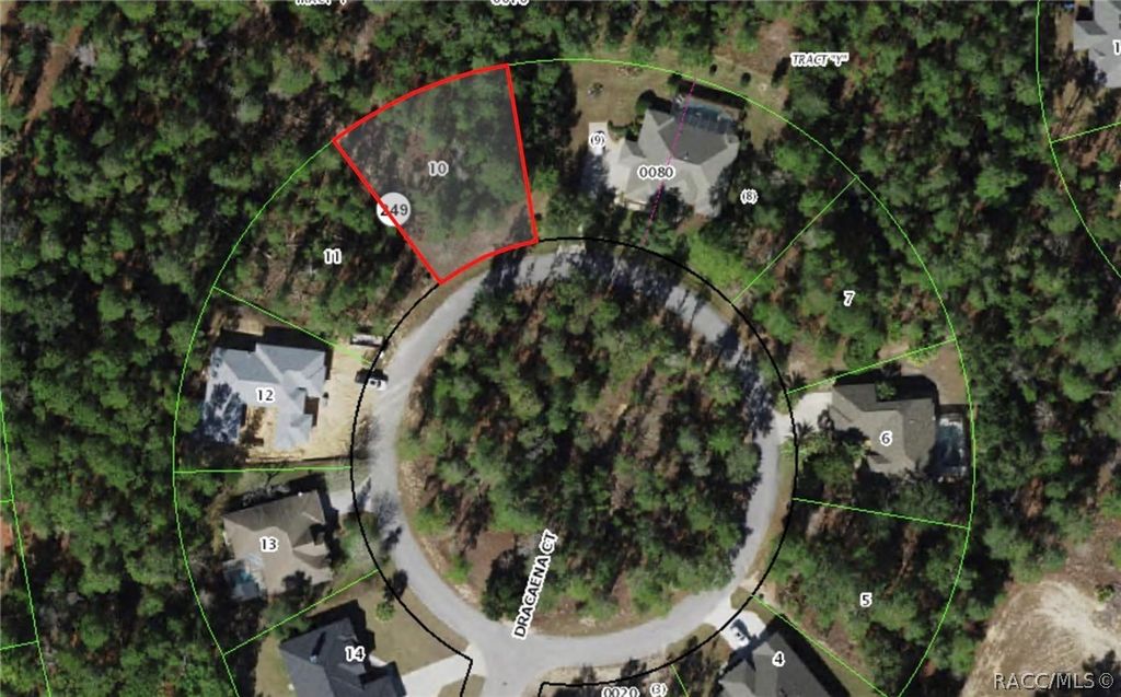 13 Dracaena Court, Homosassa, FL 34446