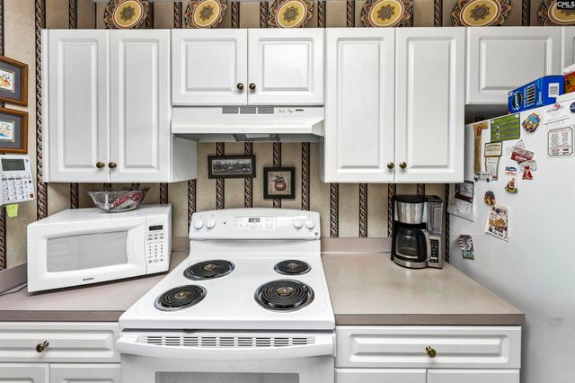 1033 Ivy Green Circle, Irmo, SC 29063