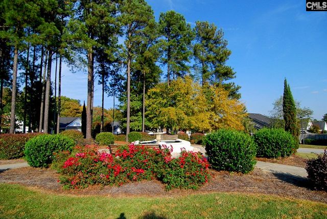 1033 Ivy Green Circle, Irmo, SC 29063