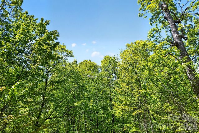 0 Bobcat Drive 741, Old Fort, NC 28762