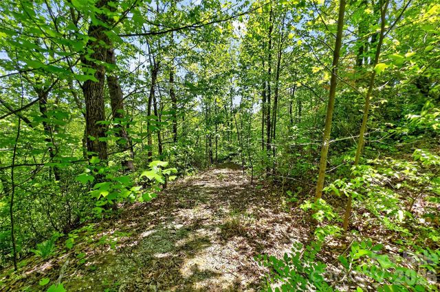 0 Bobcat Drive 741, Old Fort, NC 28762