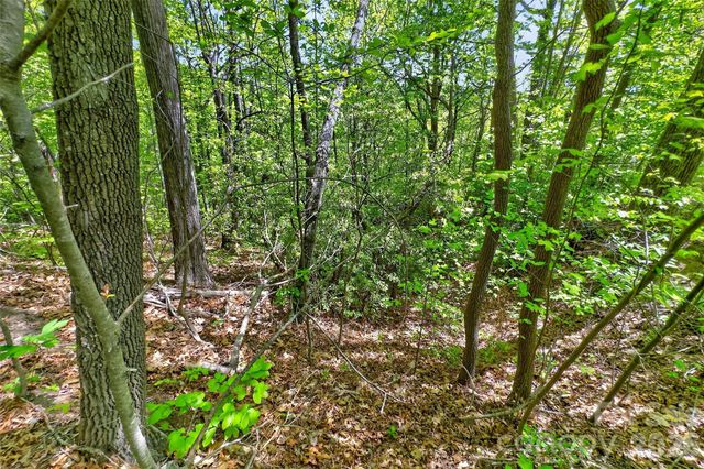 0 Bobcat Drive 741, Old Fort, NC 28762