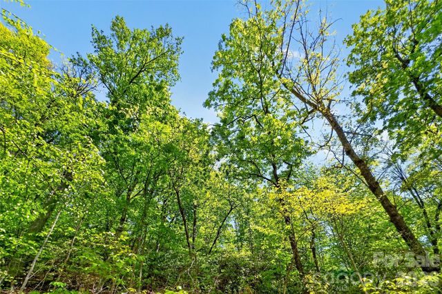 0 Bobcat Drive 741, Old Fort, NC 28762