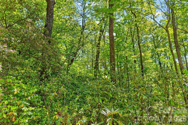 0 Bobcat Drive 741, Old Fort, NC 28762