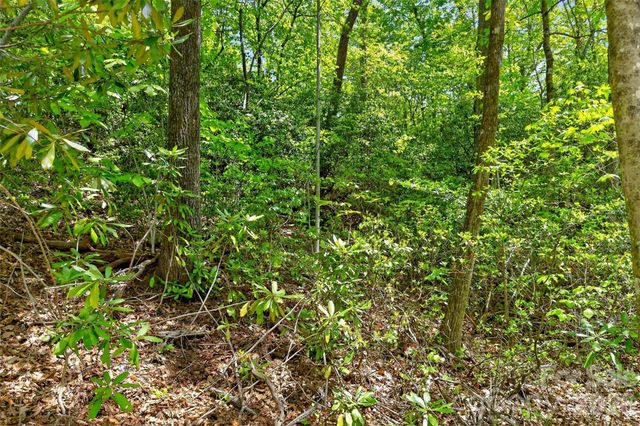0 Bobcat Drive 741, Old Fort, NC 28762