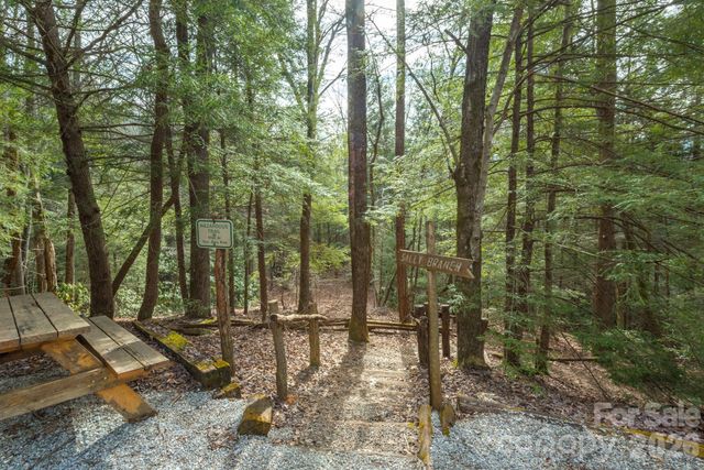 0 Bobcat Drive 741, Old Fort, NC 28762