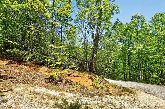 0 Bobcat Drive 741, Old Fort, NC 28762
