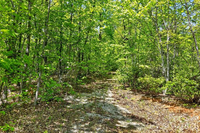 0 Bobcat Drive 741, Old Fort, NC 28762