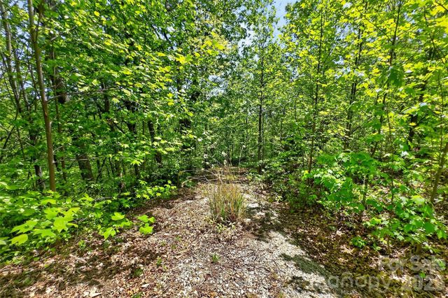 0 Bobcat Drive 741, Old Fort, NC 28762