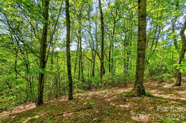0 Bobcat Drive 741, Old Fort, NC 28762