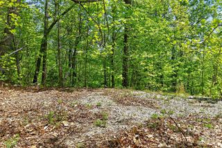 0 Bobcat Drive 741, Old Fort, NC 28762
