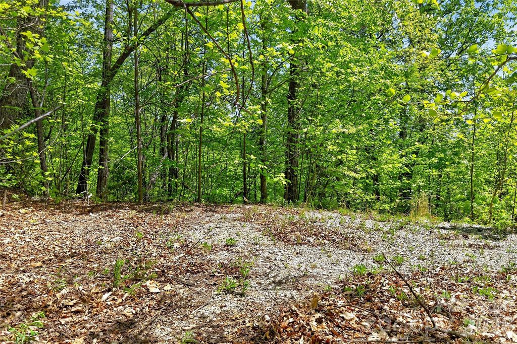 0 Bobcat Drive 741, Old Fort, NC 28762
