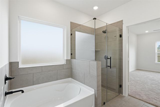 3415 Windmill Palm Drive, Manvel, TX 77578