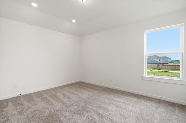 3415 Windmill Palm Drive, Manvel, TX 77578