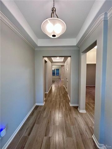 4809 Choke Canyon Drive, Mcallen, TX 78504