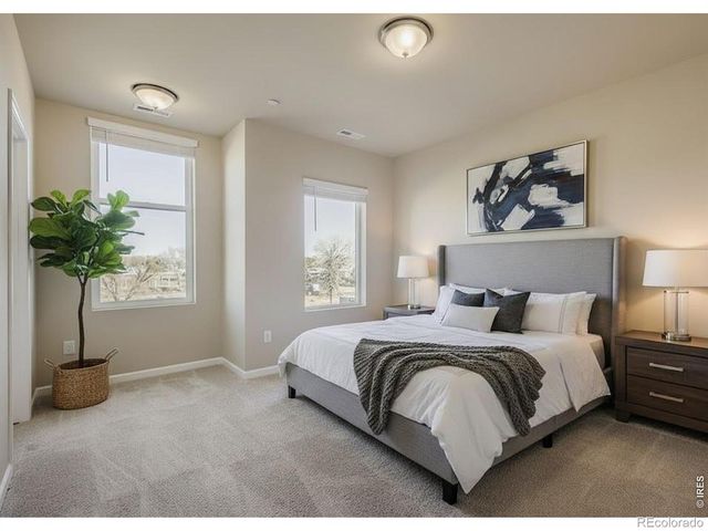1002 Schlagel Street 4, Fort Collins, CO 80524