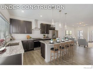 1002 Schlagel Street 4, Fort Collins, CO 80524