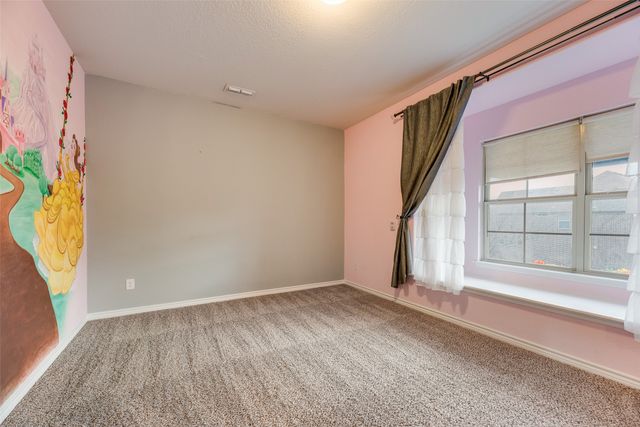 13709 Bluebell Drive, Little Elm, TX 75068