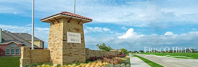 13709 Bluebell Drive, Little Elm, TX 75068