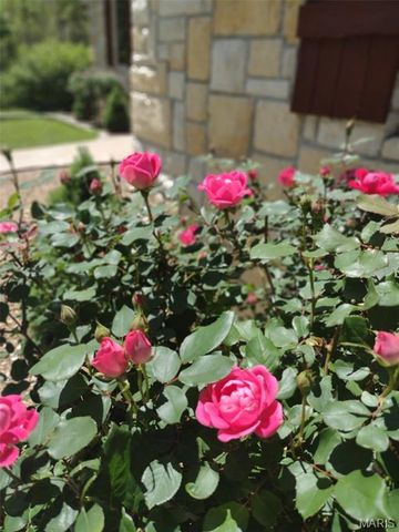 24473 REMINGTON Lane, Lebanon, MO 65536