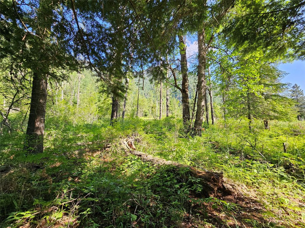 Image 1 of property listing at Lot 1 Conifer Lane, Noxon, MT 59853