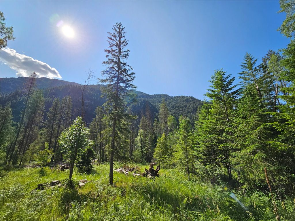 Image 4 of property listing at Lot 1 Conifer Lane, Noxon, MT 59853