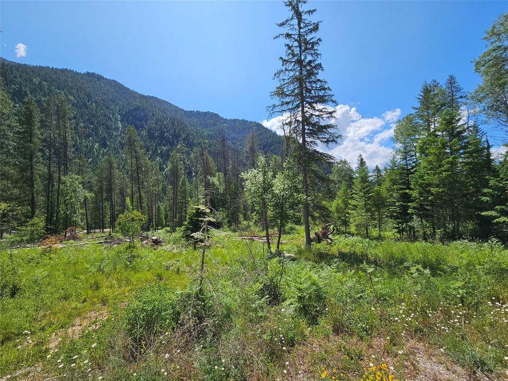 Image 8 of property listing at Lot 1 Conifer Lane, Noxon, MT 59853