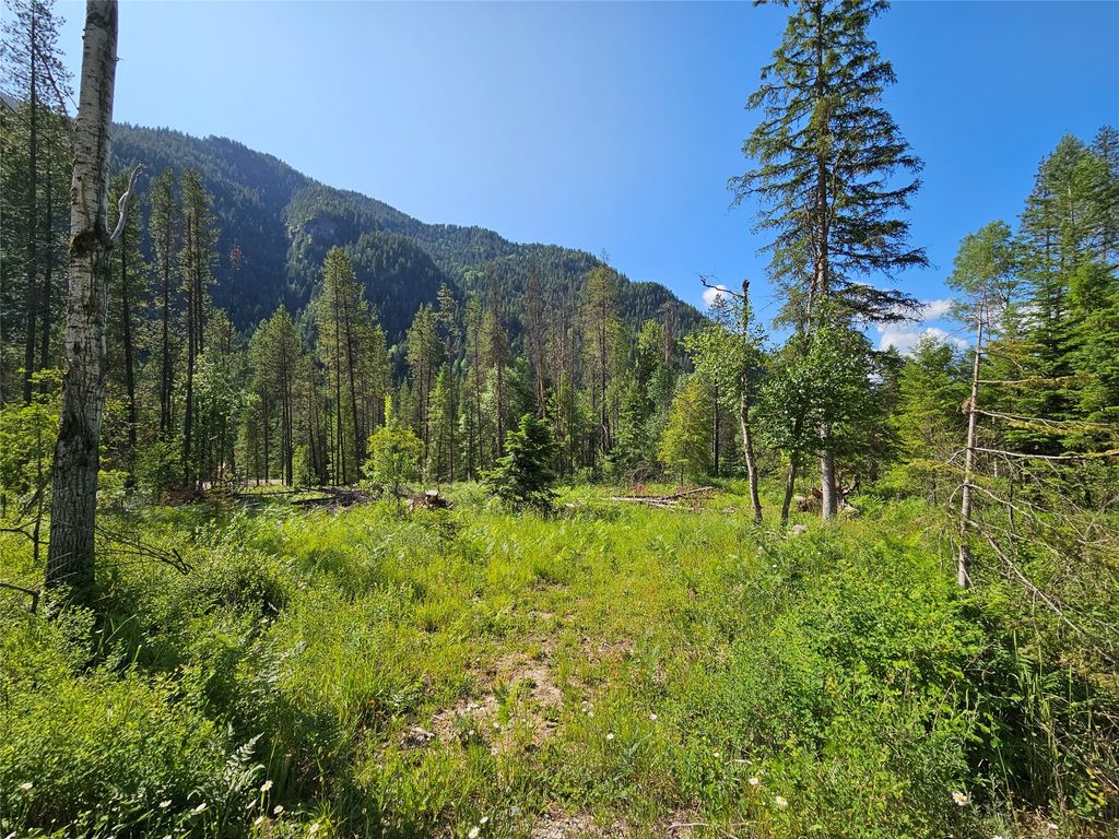 Image 9 of property listing at Lot 1 Conifer Lane, Noxon, MT 59853