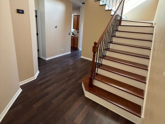 286 Wolverine Drive, Oswego, IL 60543