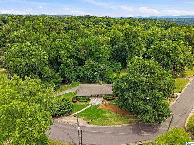 701 TWIN BRANCH DRIVE, Vestavia Hills, AL 35226