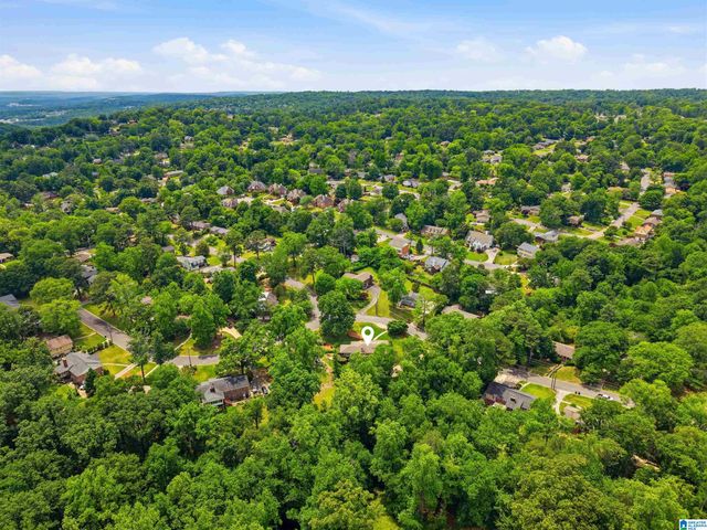 701 TWIN BRANCH DRIVE, Vestavia Hills, AL 35226