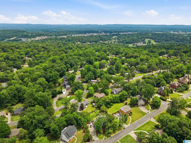 701 TWIN BRANCH DRIVE, Vestavia Hills, AL 35226