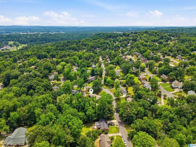 701 TWIN BRANCH DRIVE, Vestavia Hills, AL 35226