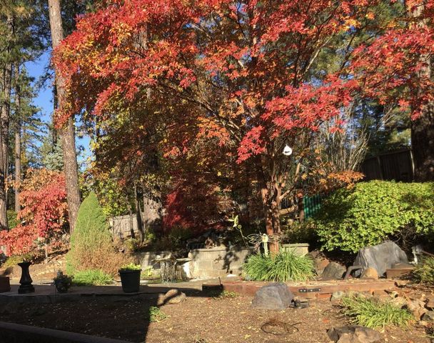 18135 Quail Mountain Ct, Applegate, CA 95703