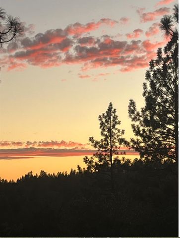 18135 Quail Mountain Ct, Applegate, CA 95703
