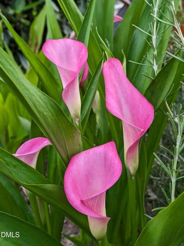 2219 Spacious Skies Street, Raleigh, NC 27614