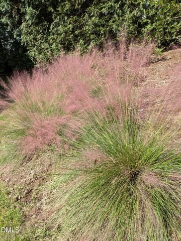 2219 Spacious Skies Street, Raleigh, NC 27614