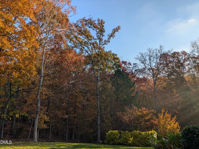 2219 Spacious Skies Street, Raleigh, NC 27614