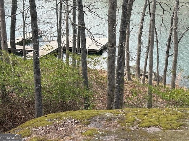 138 Winding River Road, Eatonton, GA 31024