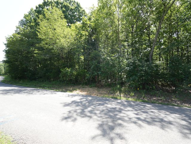 5 Tummins Rd, Mc Ewen, TN 37101